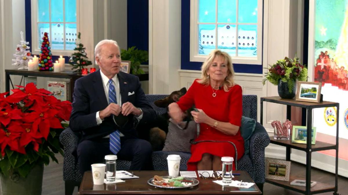 joe-biden-jull-biden