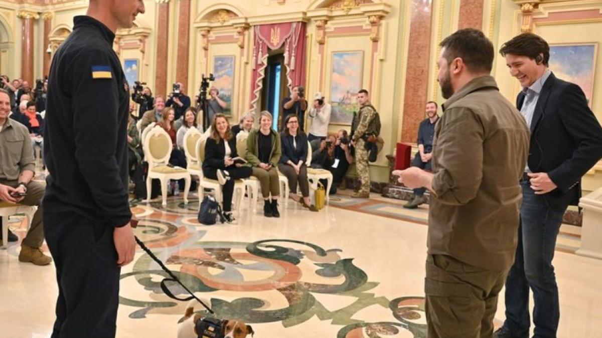 glont--catelul-erou--care-a-descoperit-zeci-de-mine-rusesti--decorat-de-presedintele-zelenski