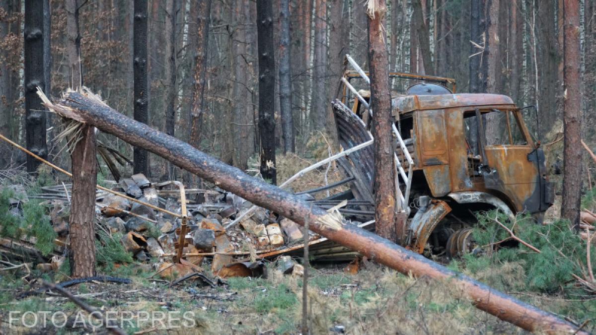 padure-ucraina-razboi-soldati-kiev