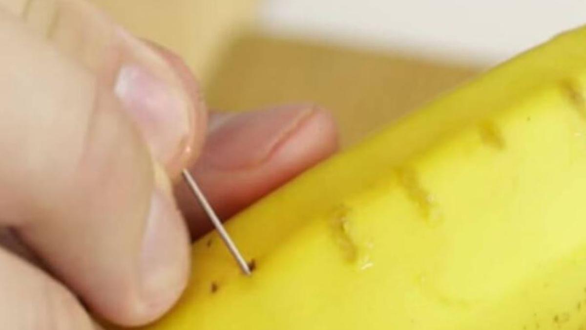 fa-gauri-mici-in-coaja-de-banana-cu-un-ac-cu-siguranta--te-vei-amuza-cand-vei-decoji-fructul