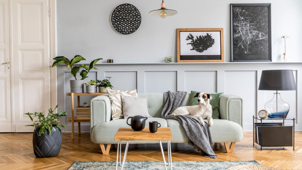 shutterstock_1723139395