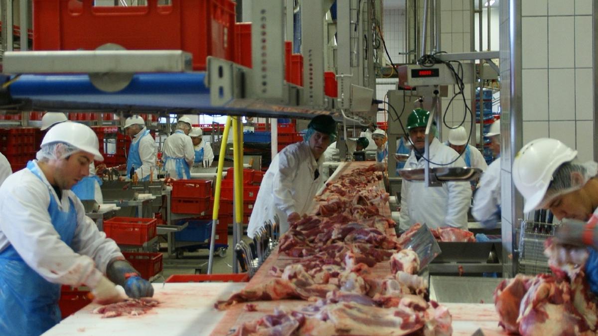 franta--un-muncitor-roman-la-abator-si-a-injunghiat-colegul-de-camera-te-tai-ca-pe-porci-si-te-pun-in-frigider--alti-conationali-au-reusit-sa-scape