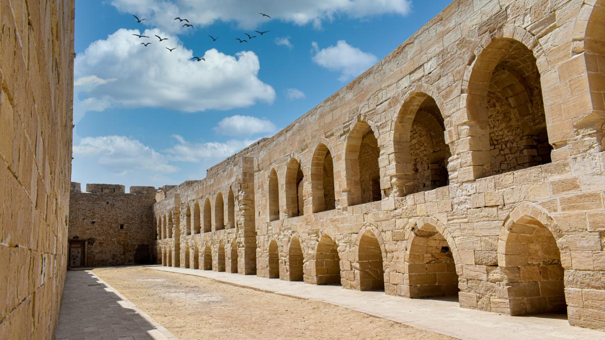 mahamed-salama-1yghfv510nu-unsplash