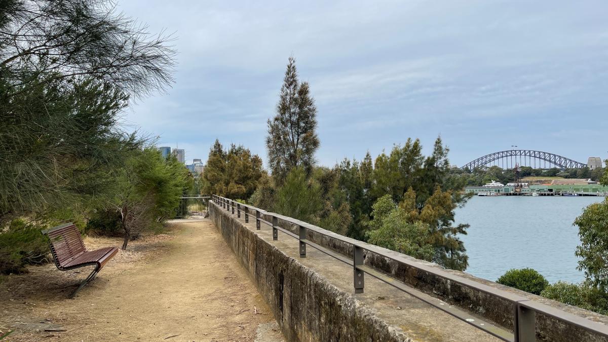 andy-wang-_tvtfoyxz5m-unsplash