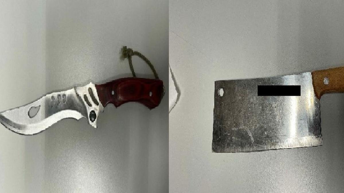 austria--un-roman--inarmat-cu-un-cutit-si-un-satar--saltat-de-politisti--dupa-ce-si-a-amenintat-vecinii