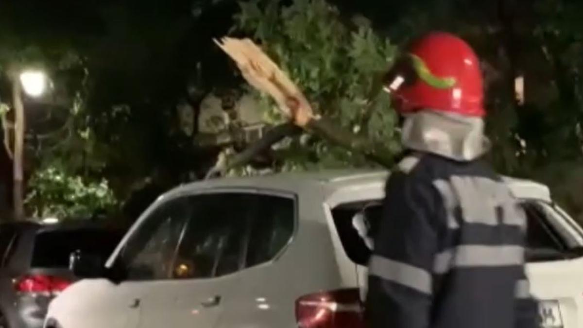 urgia-a-lovit-romania--copaci-cazuti-pe-masini--furtuni-extreme--foto