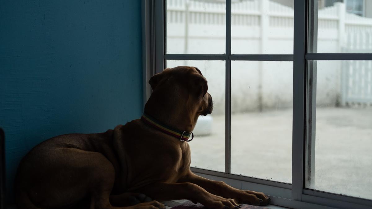 andrzj-brown-fyyuuzdenxa-unsplash