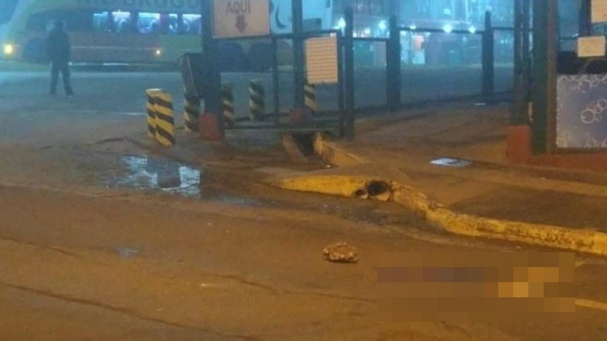 argentina--un-roman-a-creat-panica-pe-strazile-unui-oras--a-atacat-cu-pietre-un-grup-de-turisti