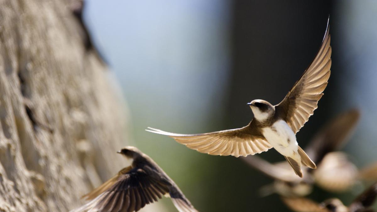 julian-2wcj-arabog-unsplash