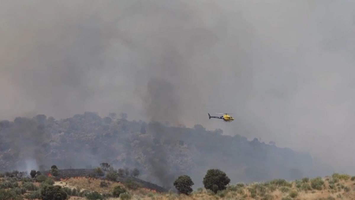 spania--incendiu-la-un-parc-de-distractii--3000-de-persoane--200-de-pasari-si-55-de-cai--evacuati