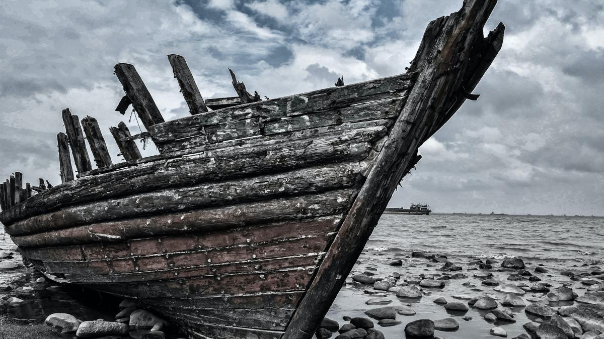 zhao-chen-c6fwhjfuyoi-unsplash