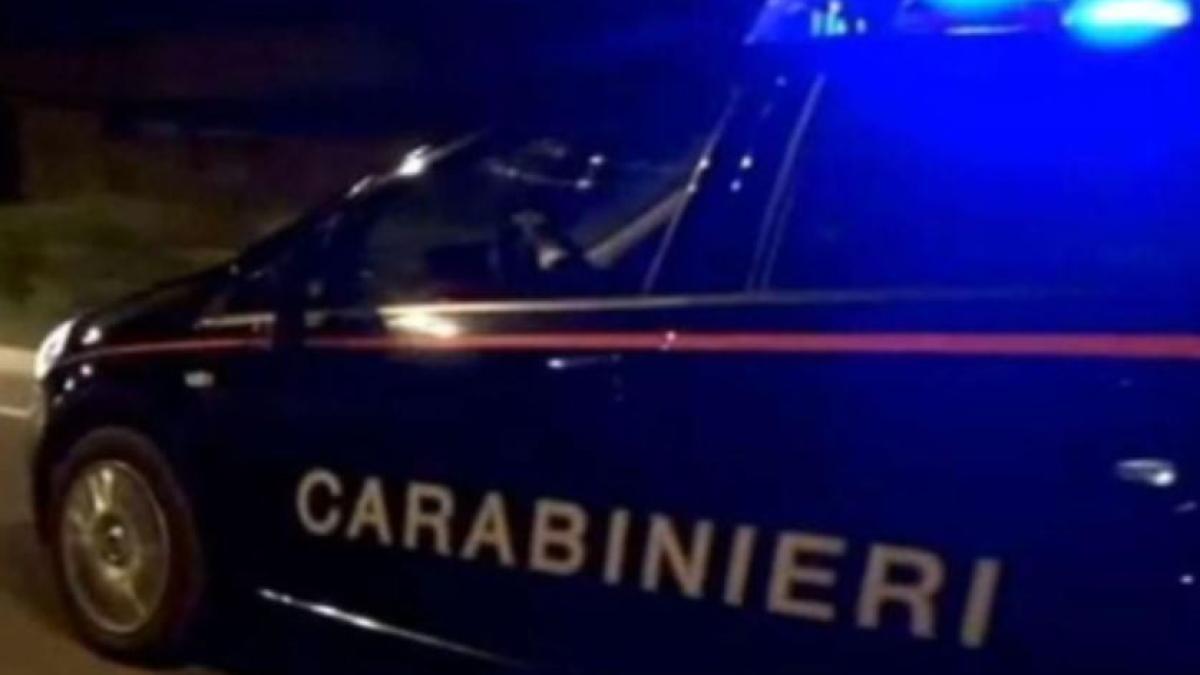 italia--un-roman--care-mergea-pe-jos-pe-o-autostrada--cu-o-poseta-furata--interceptat-de-politisti