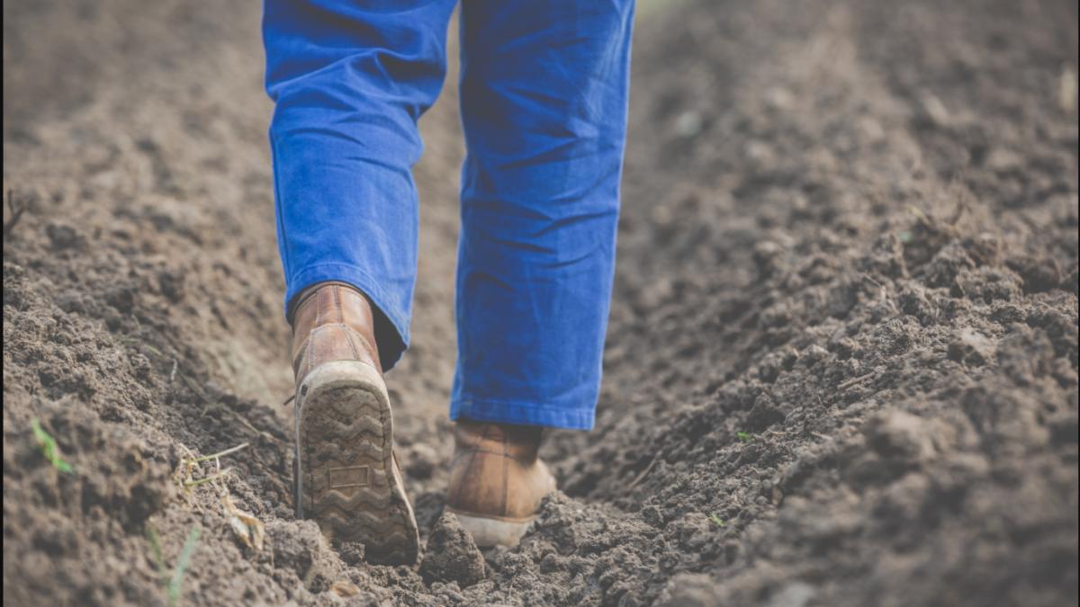 muncitori-romani-generalist