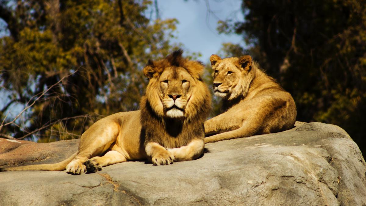 jeremy-avery-hht33raqhi8-unsplash