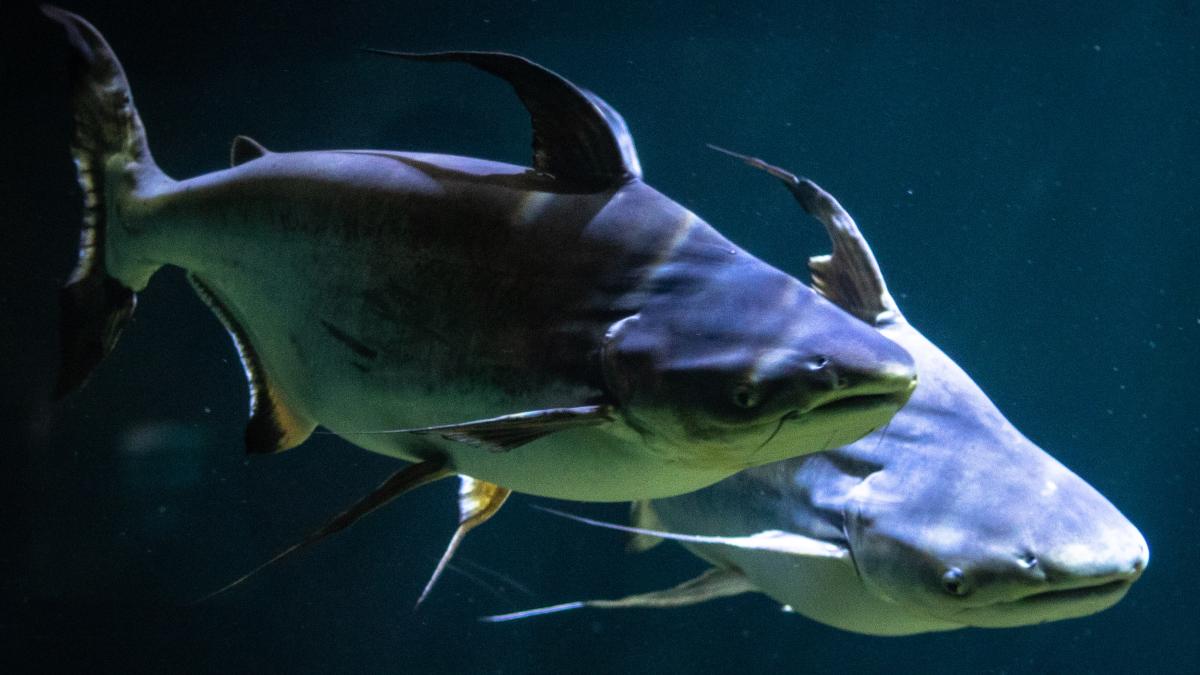 joshua-j-cotten-ka8nbxfnk7i-unsplash