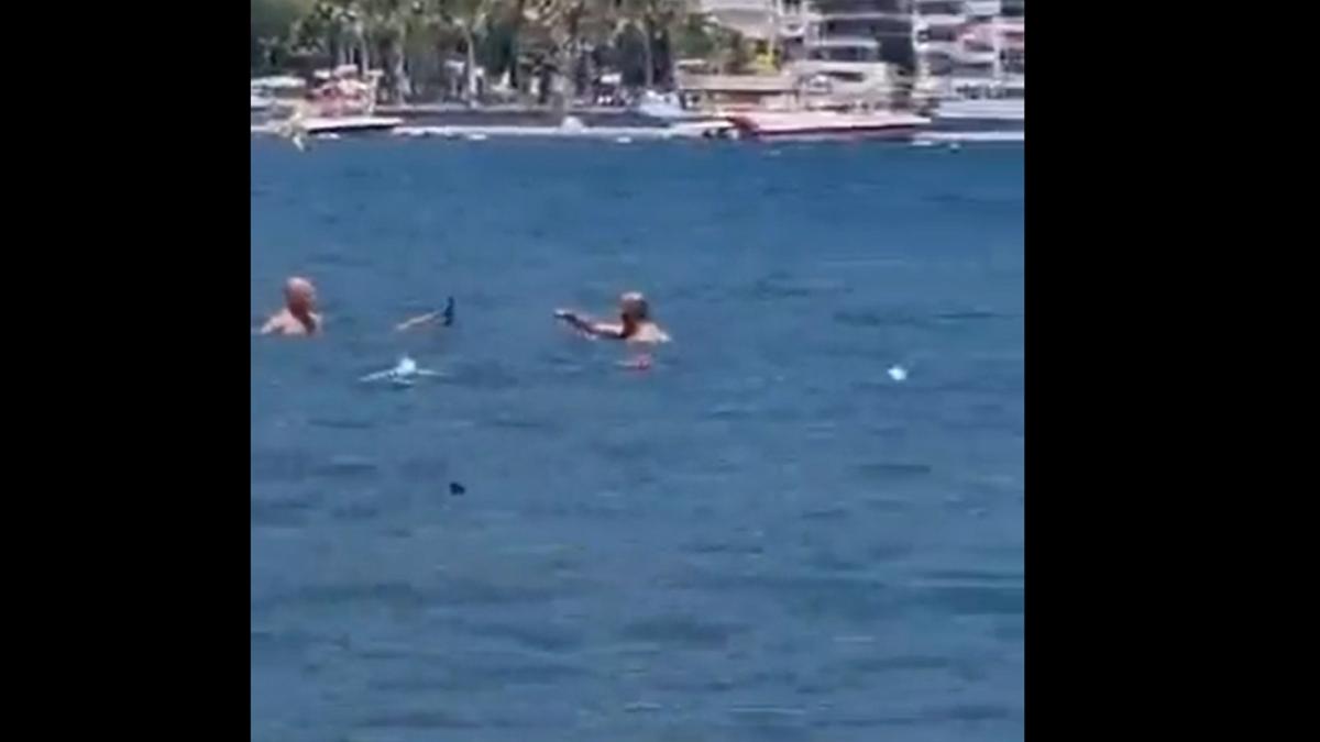 tipar-confundat-cu-un-rechin--alungat-cu-mopul--pestelea-creat-panica-pe-o-plaja-cu-turcia---video