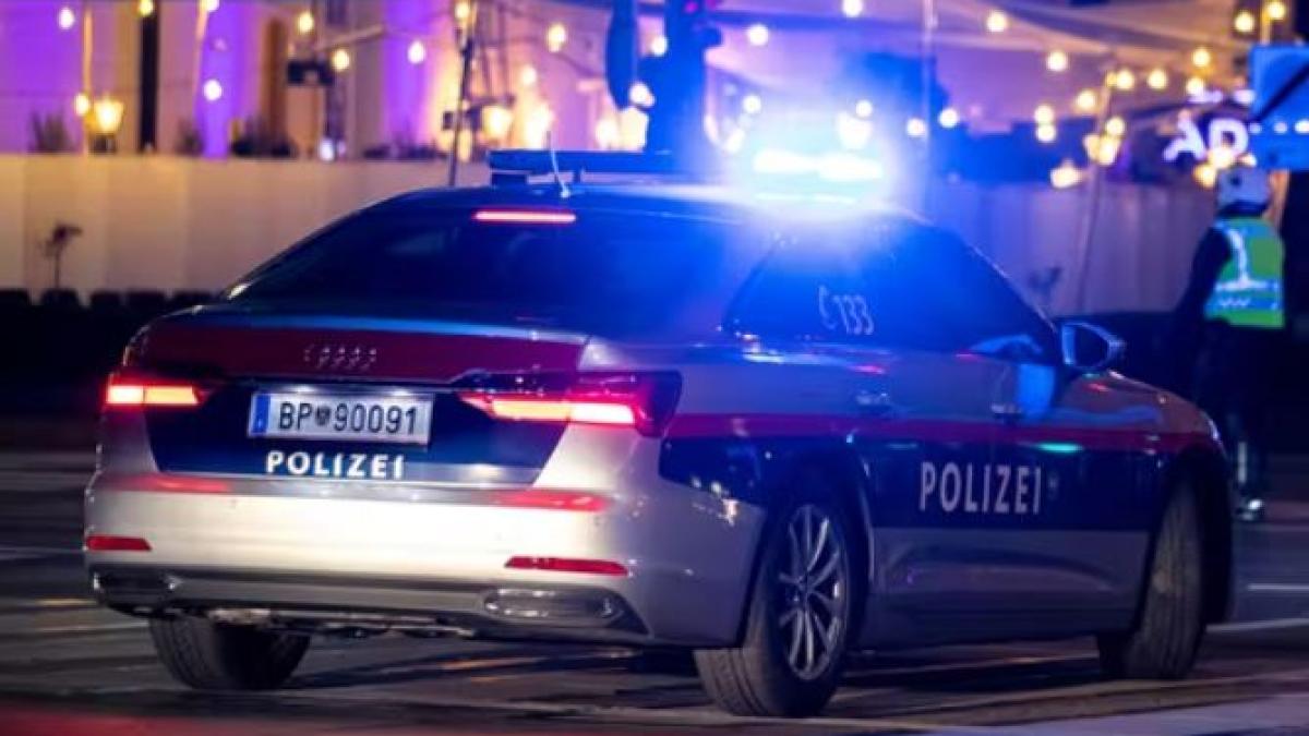 austria--un-roman-a-bagat-in-spital-trei-politisti--care-au-venit-sa-l-aresteze---barbatul-si-a-amenintat-sotia-cu-un-cutit