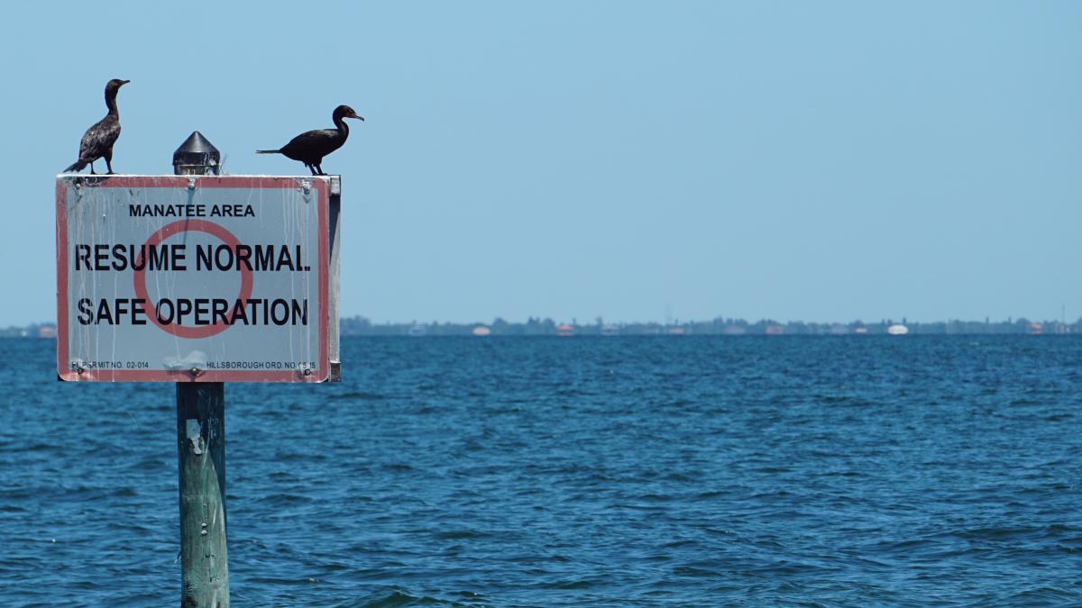 the-tampa-bay-estuary-program-ehf5k_0a_bm-unsplash