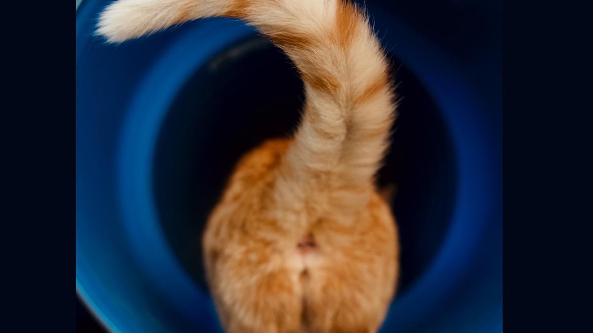 alvan-nee-hu6lnwifq9c-unsplash