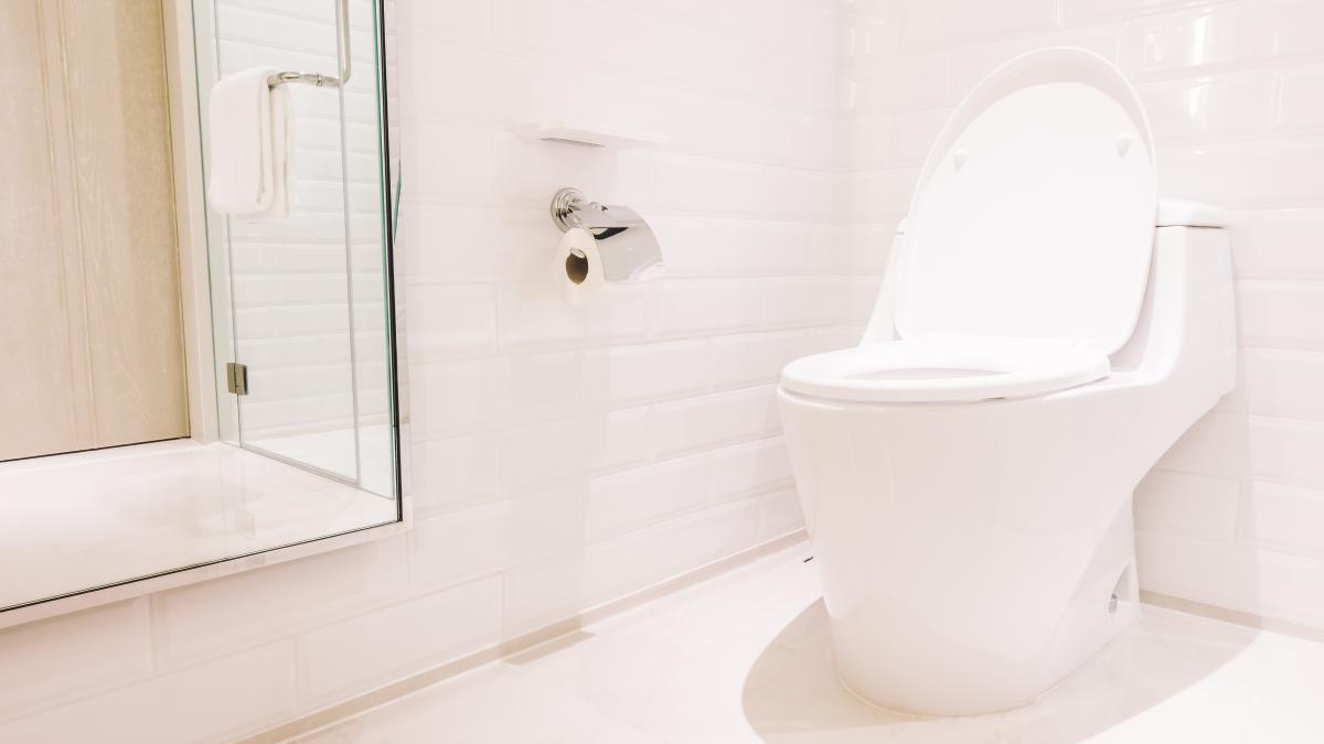 cum-sa-faci-apa-de-la-toaleta-sa-coboare-cu-mai-multa-forta-truc-fantastic-pentru-a-indeparta-tartrul