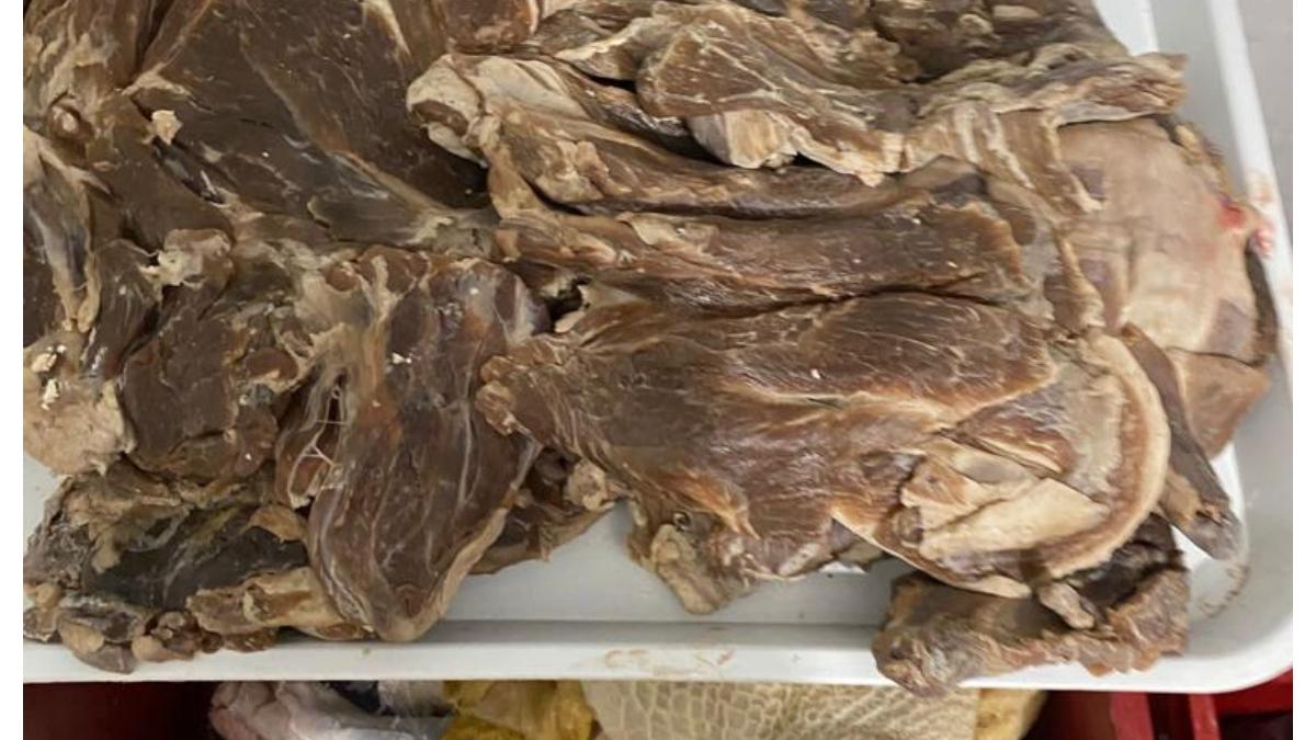 hala-obor-inchisa-definitiv