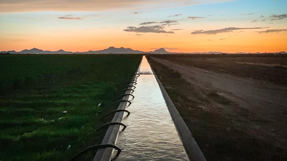 frankie-lopez-jalvrxejxrw-unsplash