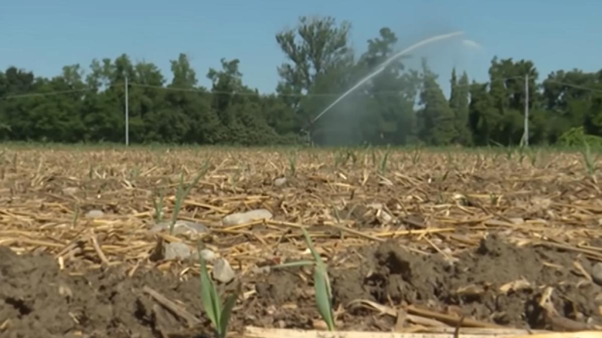 italia--apa-irosita-compromite-lupta-impotriva-celei-mai-grave-secete-din-ultimele-decenii