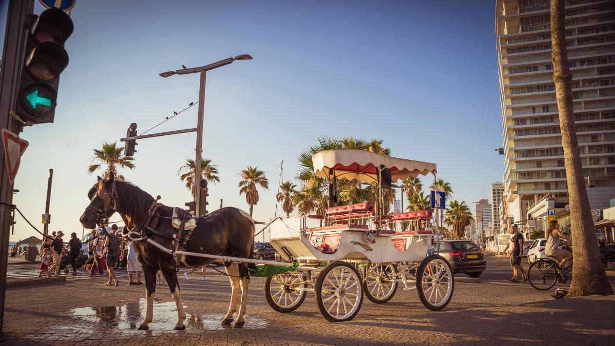 avi-theret-r_9ee7wint4-unsplash