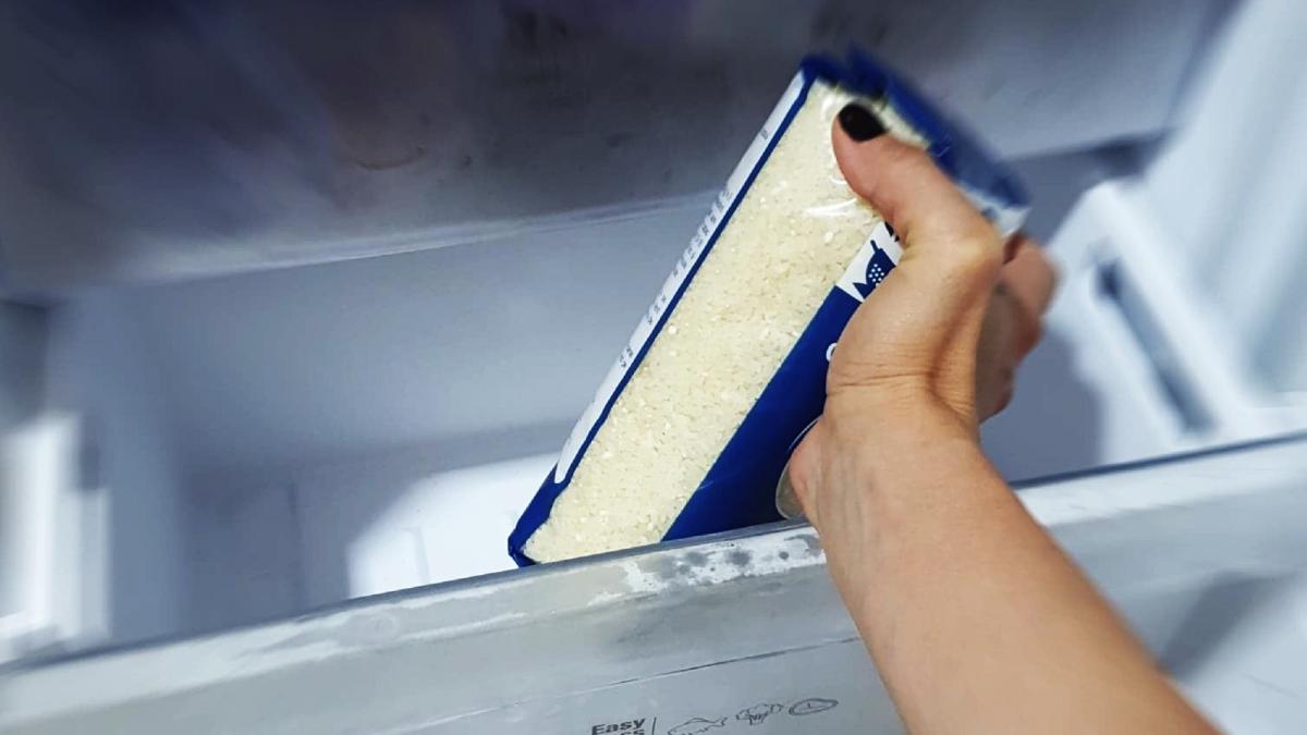 a-pus-punga-de-orez-in-congelator--trucul-grozav-la-care-nu-te-ai-fi-gandit-vreodata