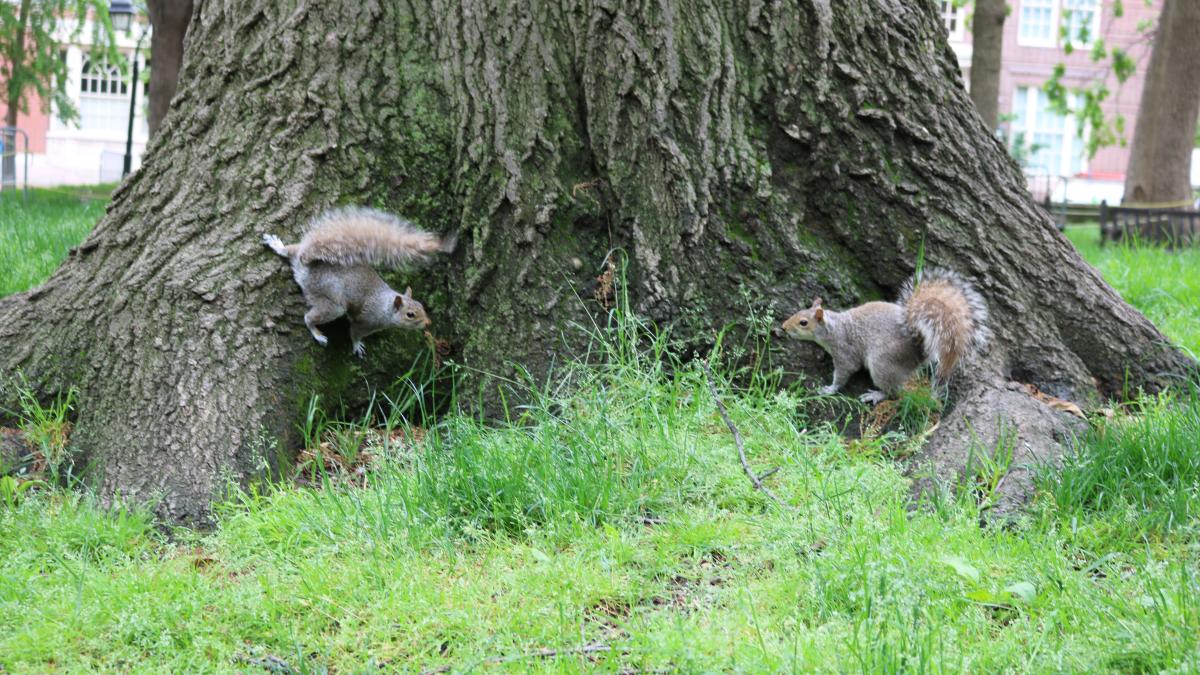 olivia-colacicco-p8zld4mvw-c-unsplash