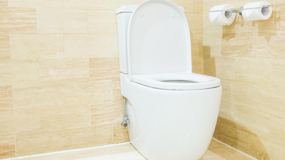 curata-un-catel-de-usturoi-si-arunca-l-in-toaleta-inainte-de-a-merge-la-culcare--trucul-de-care-nu-te-poti-lipsi