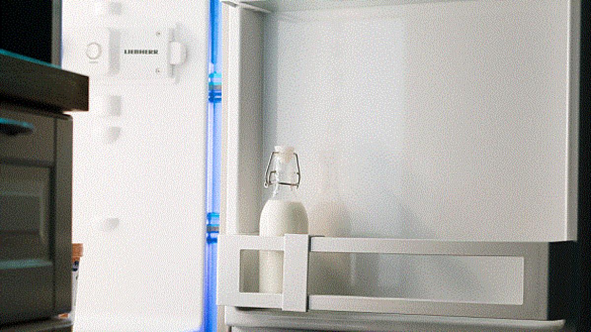 ce-sa-facem-cu-frigiderul-daca-plecam-in-concediu---il-lasam-sau-nu-in-priza--ce-spun-gospodinele-cu-experienta-