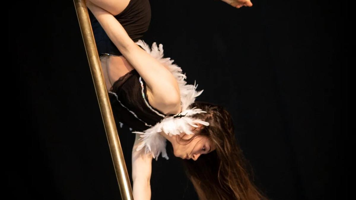 pole-sport-sport-la-bara-recunoscut-oficial-in-romania