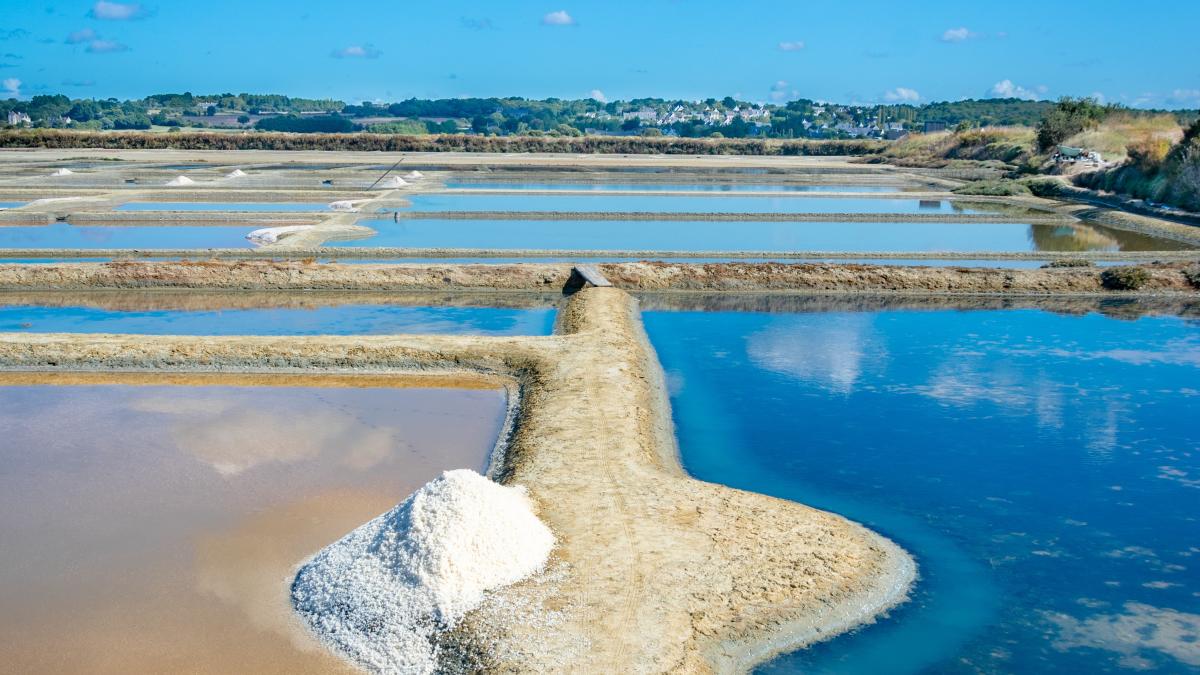 sebastien-goldberg-a6gllsarqfq-unsplash