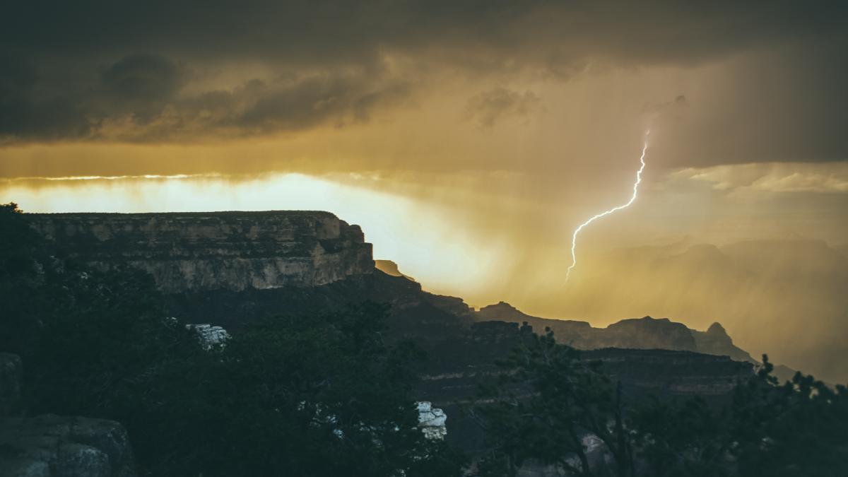 tim-trad-bw7sjzqwb4w-unsplash