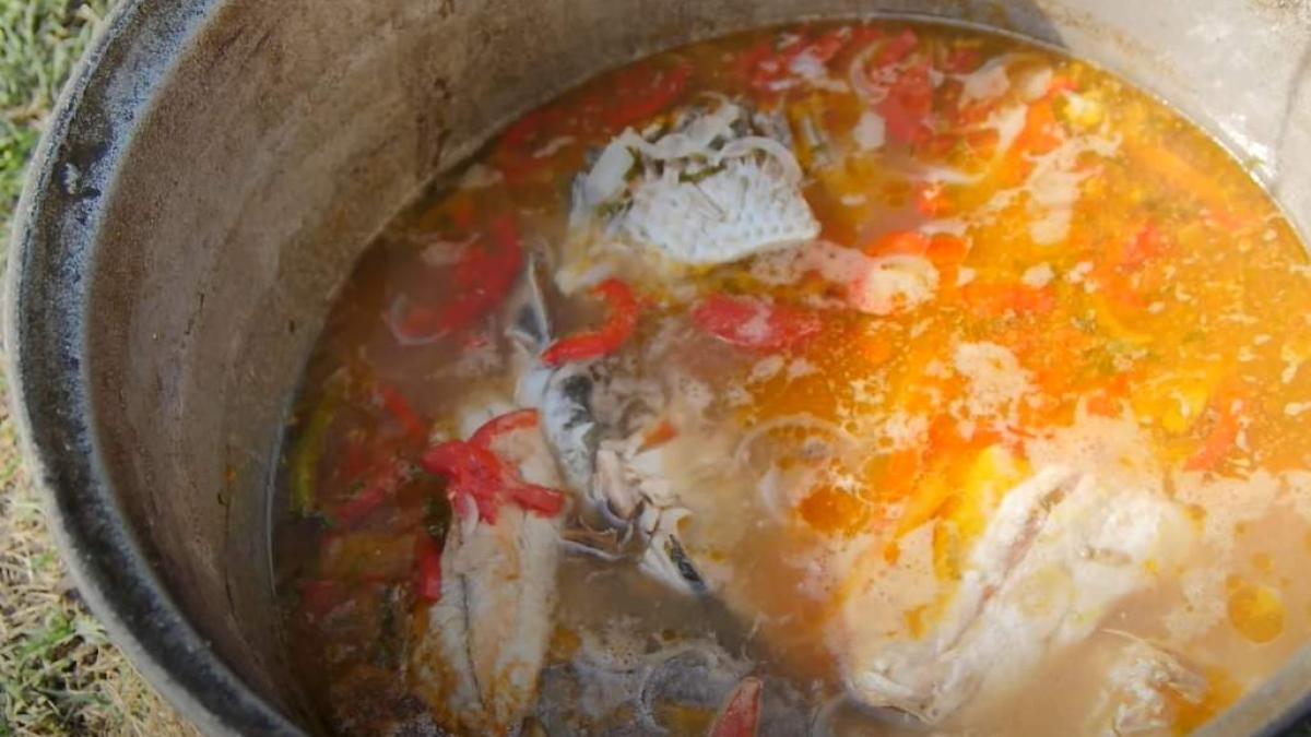 bors-lipovenesc-jurilovca