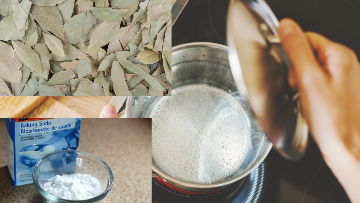 de-ce-sa-pui-o-oala-la-fiert-cu-bicarbonat-si-frunze-de-dafin--poti-face-minuni-cu-acest-truc