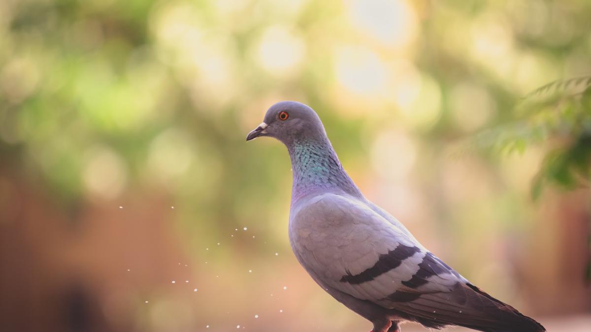 lenstravelier-i_erpxkoreo-unsplash