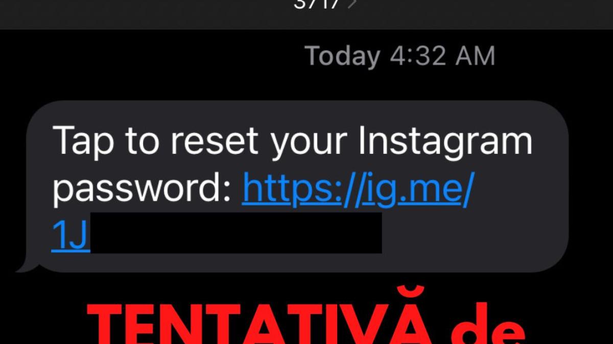 inselatorie-instgram