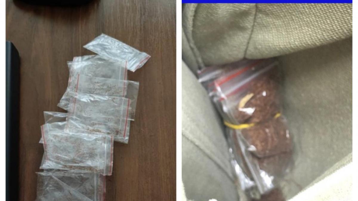 drguri-brasov-condamnati