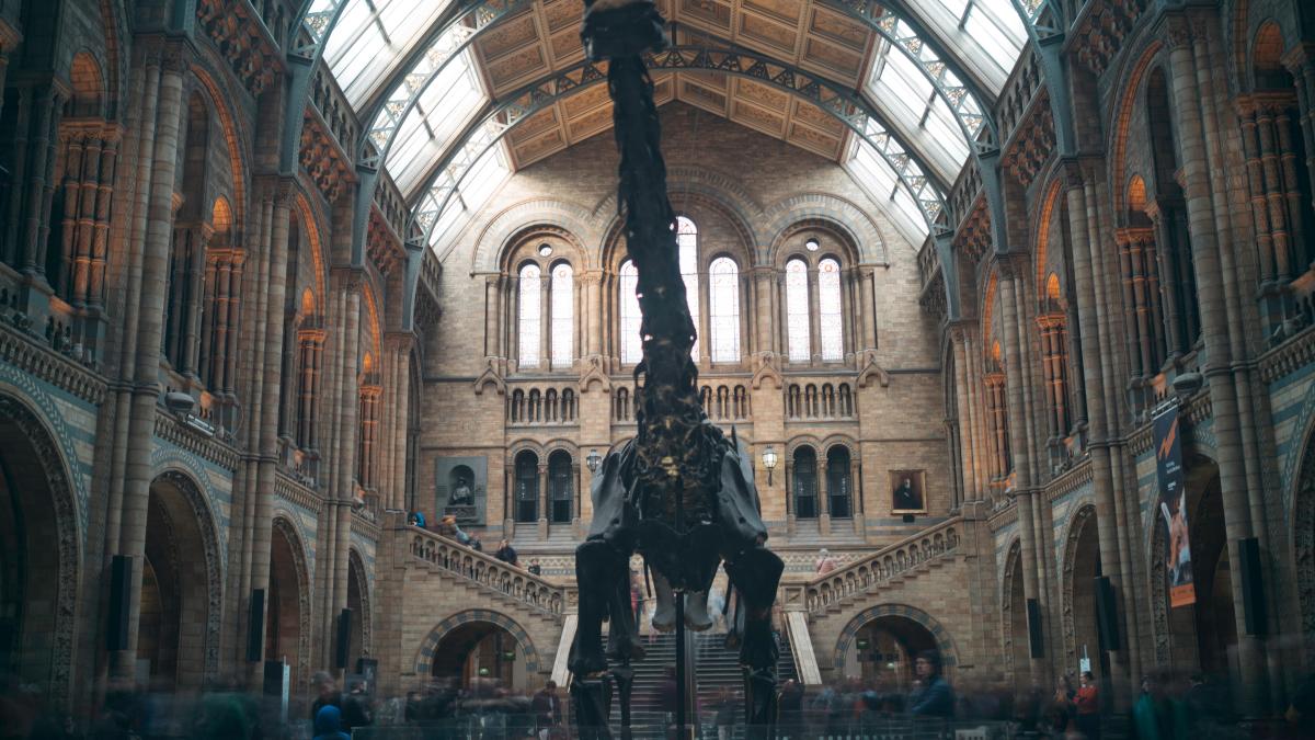 kafai-liu-dopbjgynpwy-unsplash