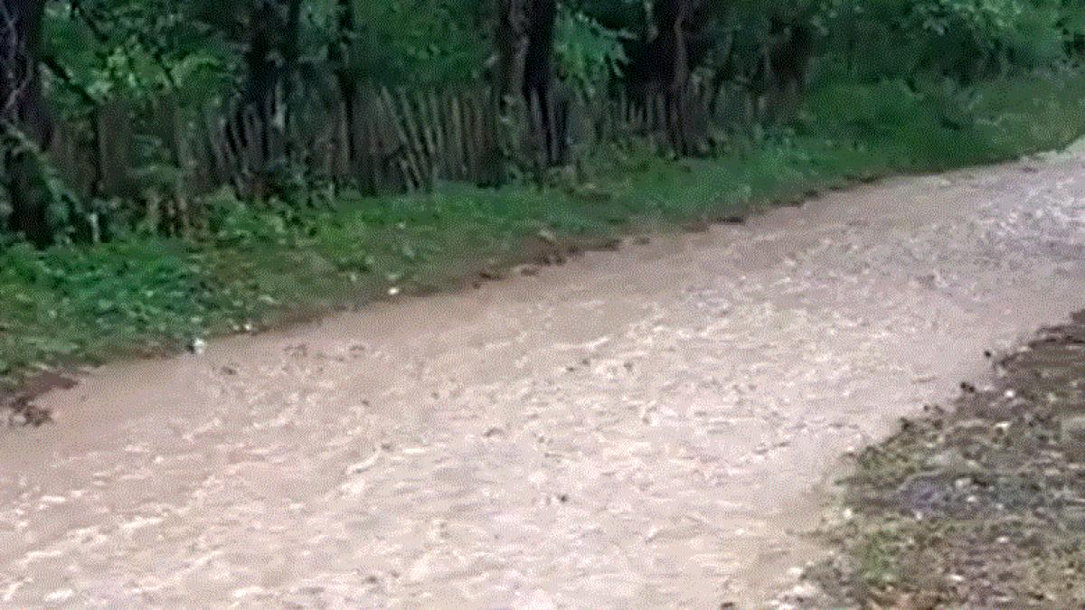 pericol-de-inundatii-pe-zeci-de-rauri-din-intreaga-tara---un-pod-din-statiunea-azuga--distrus-de-viitura