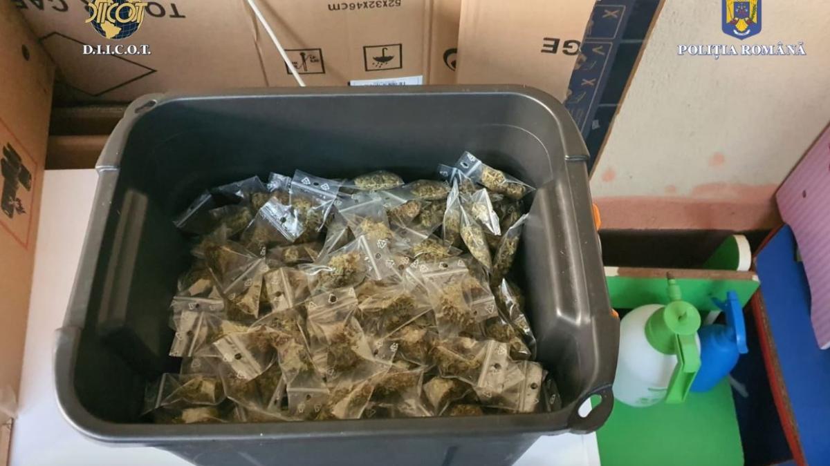 doua-kilograme-de-heroina--gasite-ingropate-la-radacina-unui-copac--patru-persoane--retinute