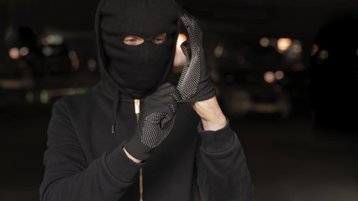 cinci-romani-au-bagat-spaima-in-oamenii-din-germania--austria-si-danemarca-au-facut-340-000-euro-la-comanda--cum-actionau-cu-pene-de-curent