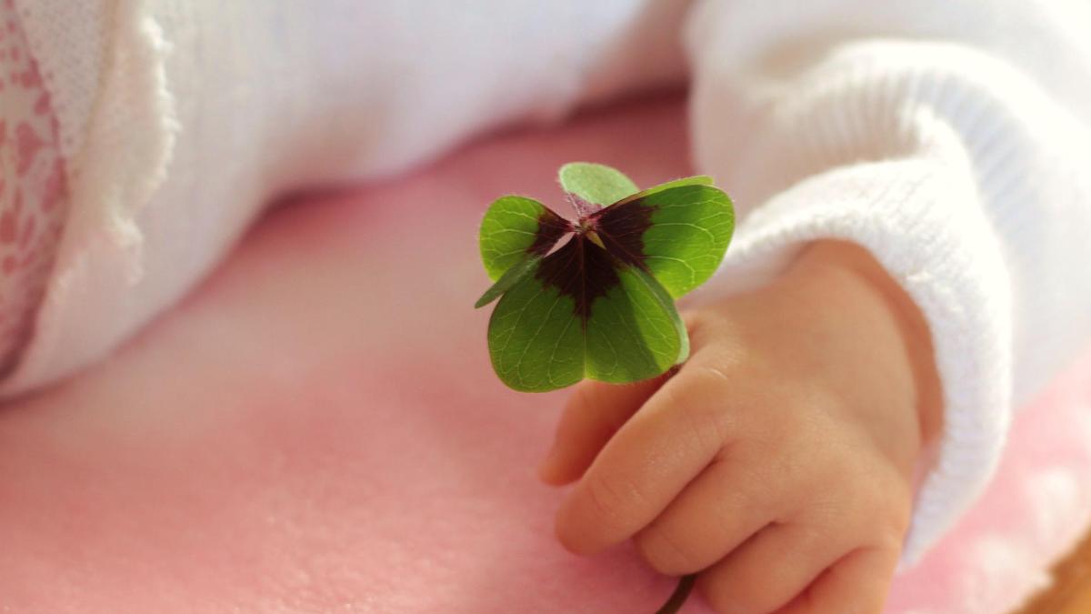 four-leaf-clover-1892660_1920