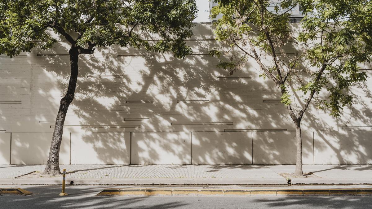 strada-din-centrul-londrei--inchisa-de-un-miliardar-care-isi-amenajeaza-gradina-este-gresit-sa-perturbe-vietile-a-mii-de-oameni