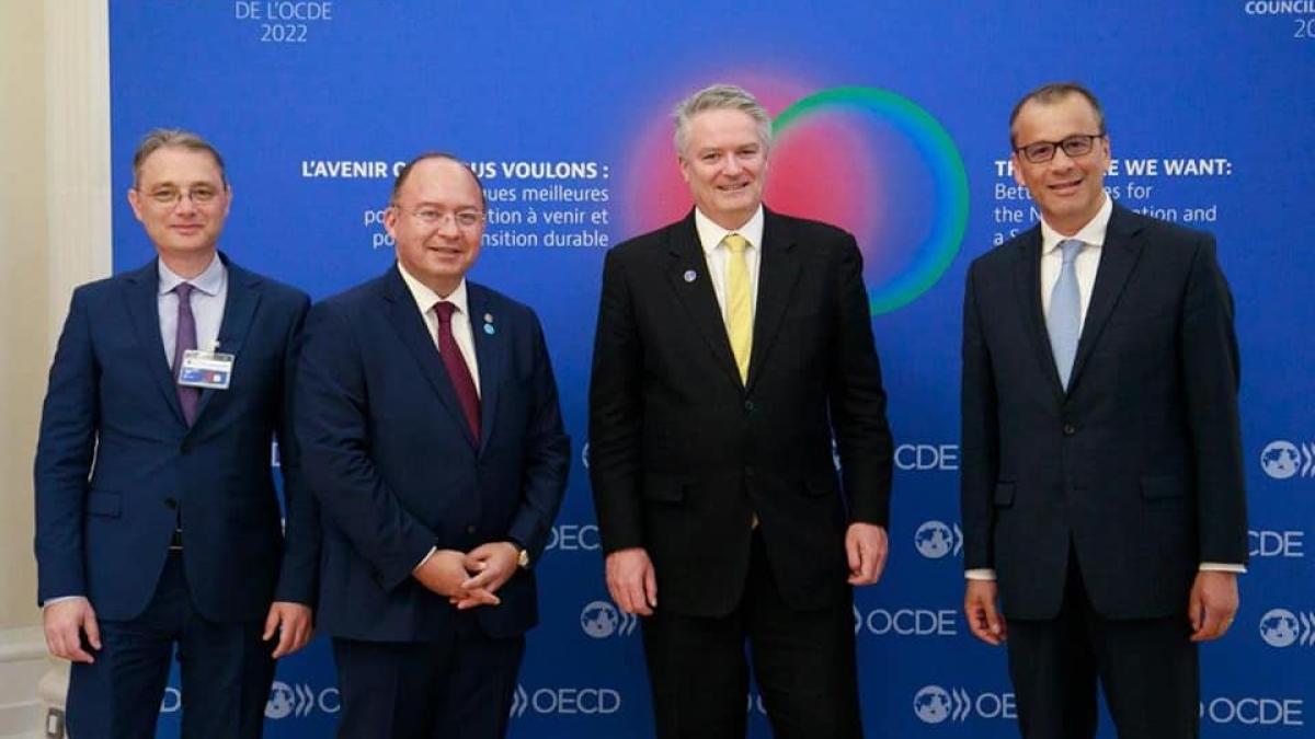 ocde-mae-luca-niculescu