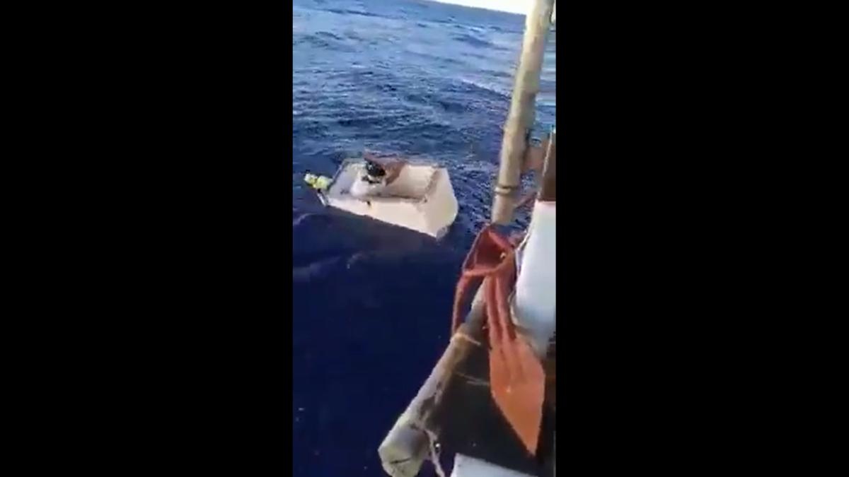 barbat-salvat-congelator