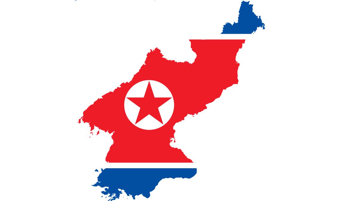 coreea-de-nord-steag