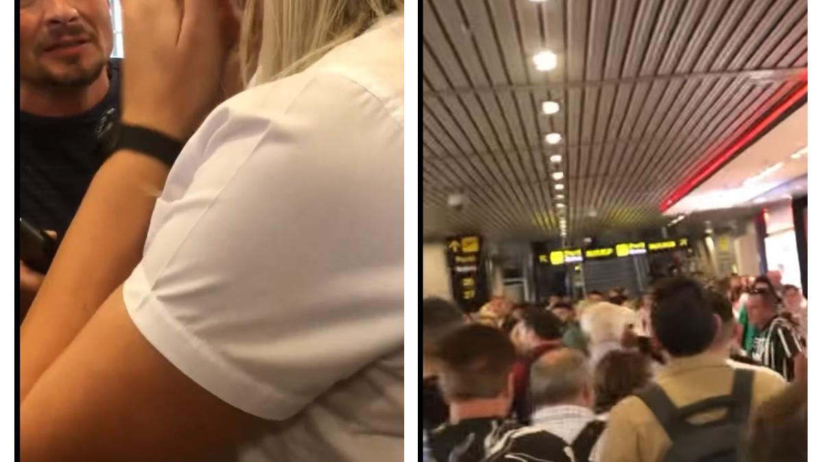 zboruri-anulate-blue-air